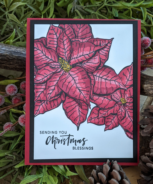 Poinsettia Handmade Christmas card