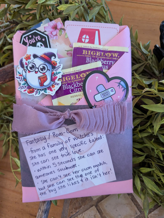 3 Month Blind Date with a Book Subscription